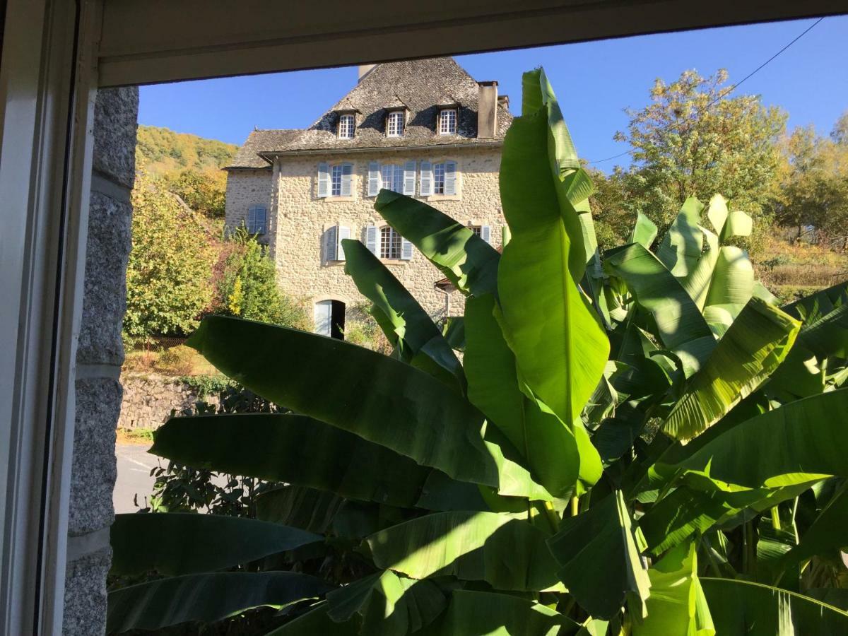 Le Gite De Jean Apartamento Entraygues-sur-Truyère Exterior foto